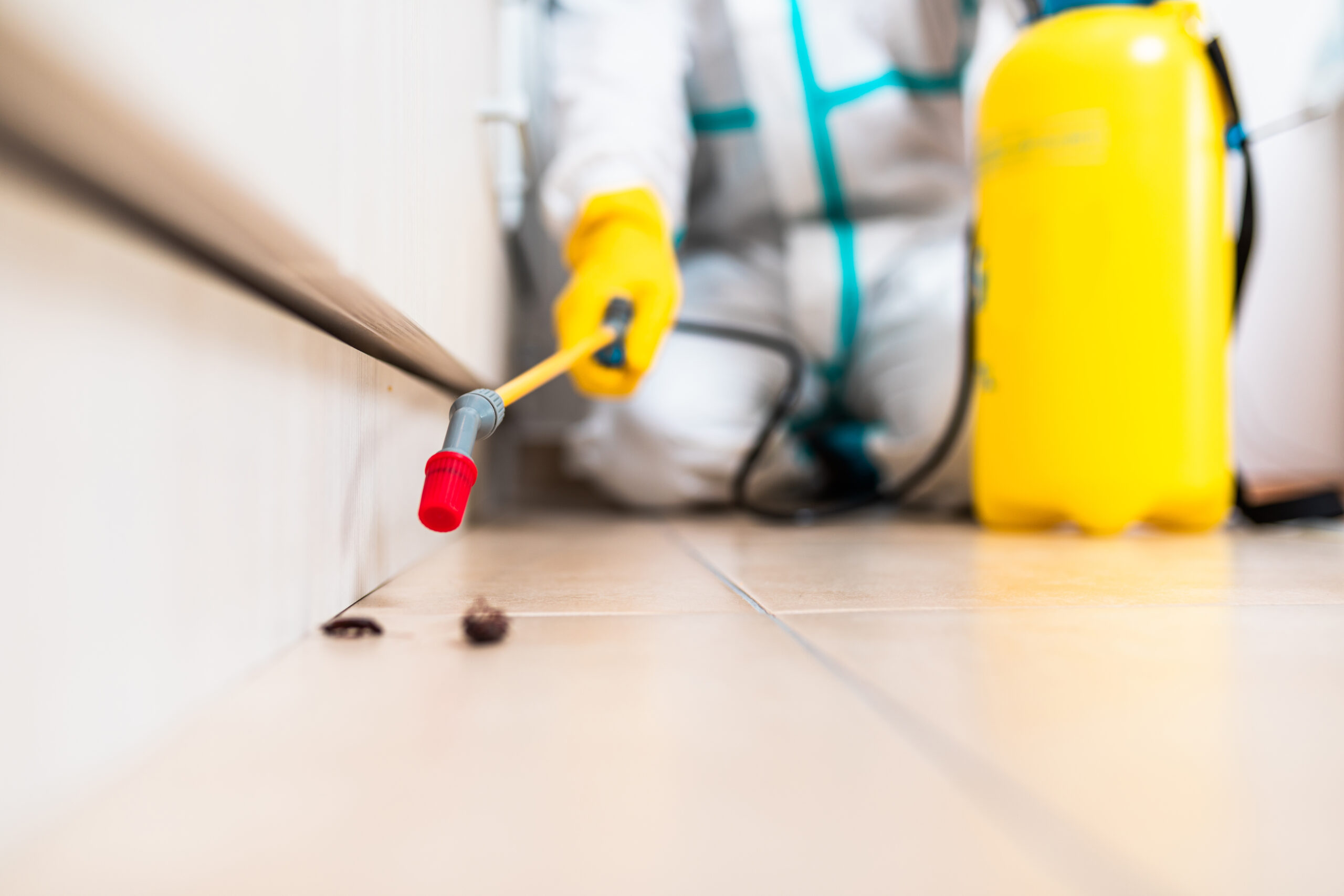 Sarasota Termite Solutions